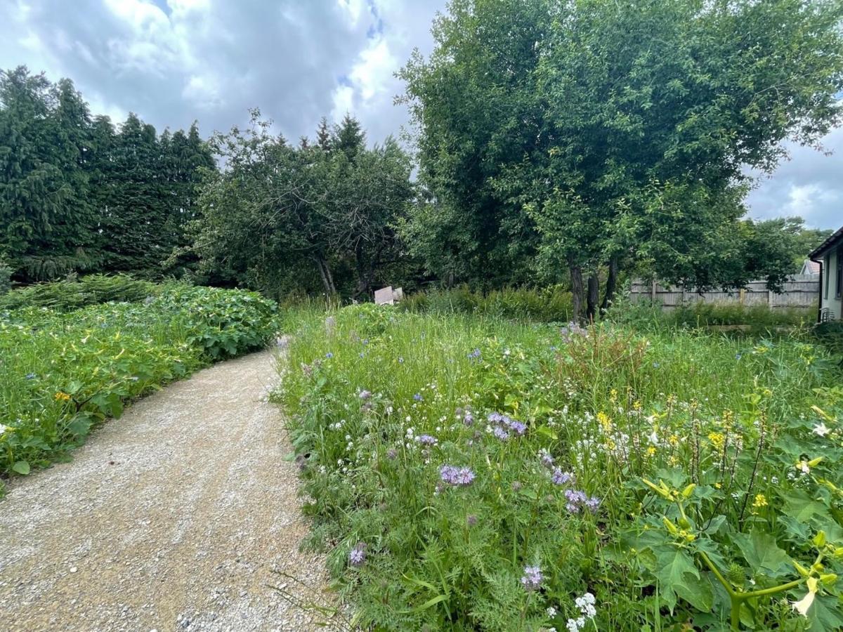 The Bearded Goat Den - A Rural Retreat At Modern Holiday home Saint Leonards